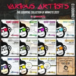 [13MRD013] V.A. THE ESSENTIAL COLLECTION OF MONKEYS 2020