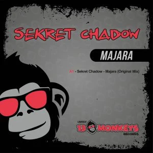 [13MRD029] SEKRET CHADOW – MAJARA