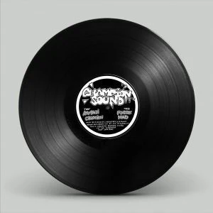 [SPB12044] – CHAMPION SOUND – DUBCORE VOL.22