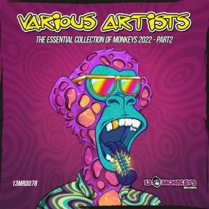 [13MRD078] VARIOUS – THE ESSENTIAL COLLECTION OF MONKEYS 2022 – PART2