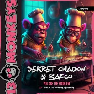 [13MRD088] SEKRET CHADOW & BAZCO – YOU ARE THE PROBLEM
