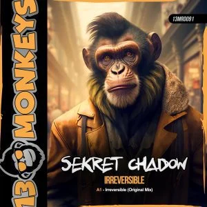 [13MRD091] SEKRET CHADOW – IRREVERSIBLE