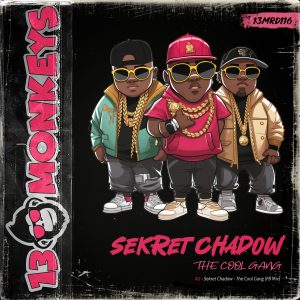 [13MRD116] SEKRET CHADOW – THE COOL GANG