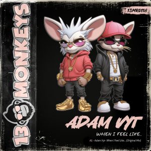 [13MRD118] ADAM VYT – WHEN I FEEL LIKE…