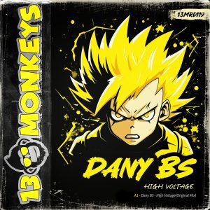 [13MRD119] DANY BS – VOLTAGE