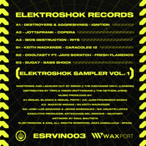 [ESRVIN003] VARIOUS – ELEKTROSHOK SAMPLER VOL.1