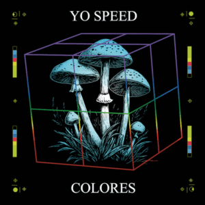 [OYTVIN04] Yo Speed – Colores – 2×12″ Vinyl – 180 gram – Gatefold