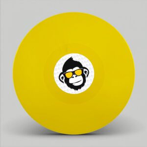 [13MRLP002] V.A. – Unity Is Strength – Repress
