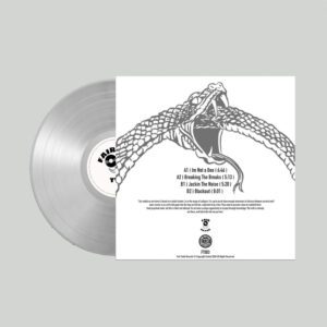 [FT-003] Sub Fundation – ORDO AB CHAO E.P.
