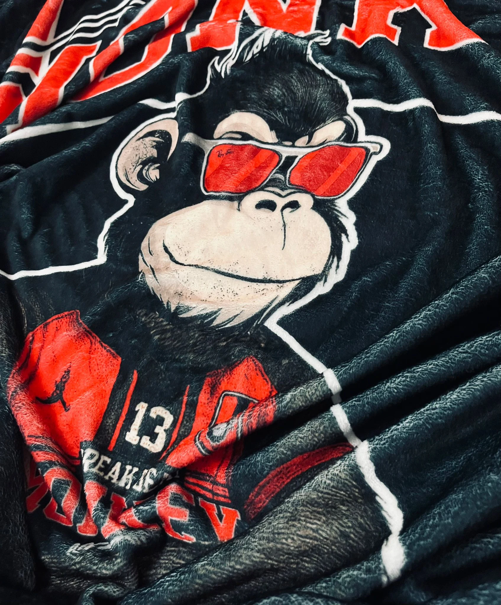 Manta - Breakbeat Monkey 2025 - Imagen 2