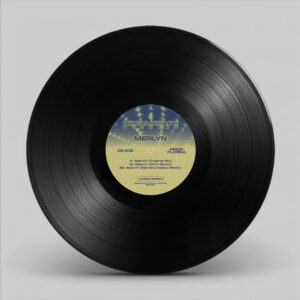 [DS-005] Merlyn – Search