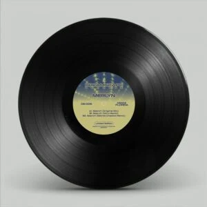 [DS-005] Merlyn – Search