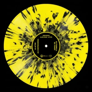 [ARBVIN004] Alien Rave – After